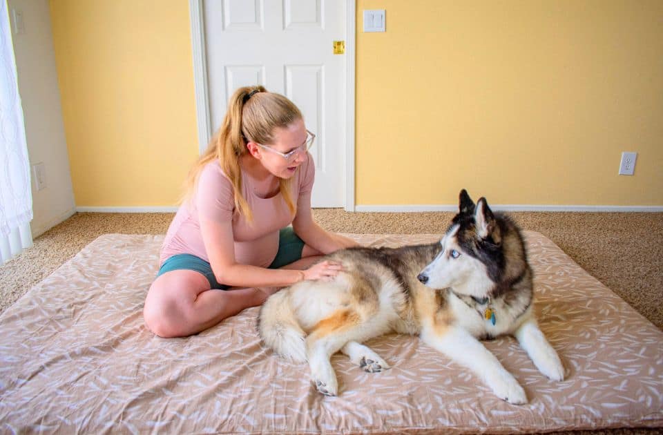 Why Get a Zonli Futon Mattress (Even If You Already Have a Bed)